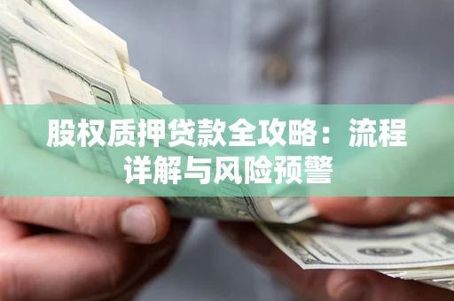 北京股权质押贷款全攻略：流程详解与风险预警