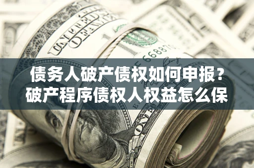 北京债务人破产债权如何申报？破产程序债权人权益怎么保障？