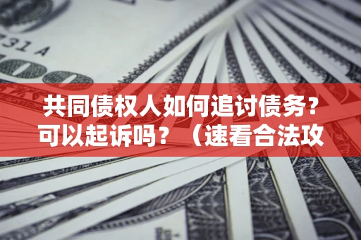 北京共同债权人如何追讨债务？可以起诉吗？（速看合法攻略）