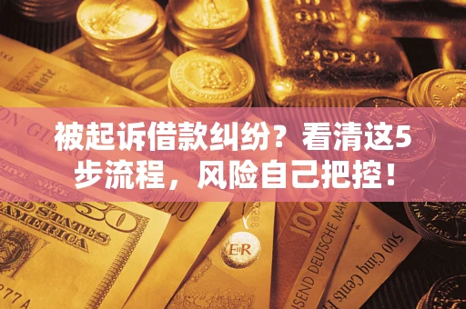 北京被起诉借款纠纷？看清这5步流程，风险自己把控！