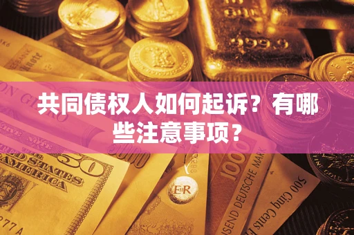 北京共同债权人如何起诉？有哪些注意事项？